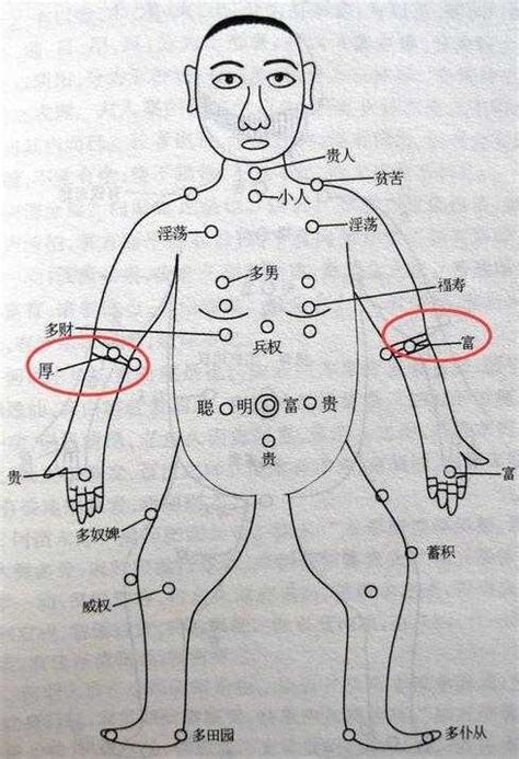 前手臂有痣|胳膊上有痣代表什么 胳膊不同位置痣相解析——天玄网